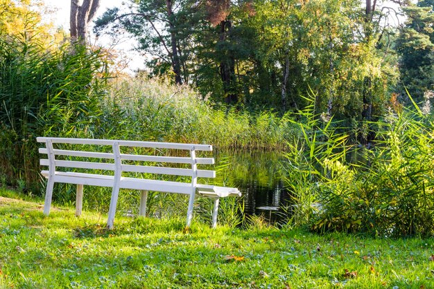 Leere Bank im Park