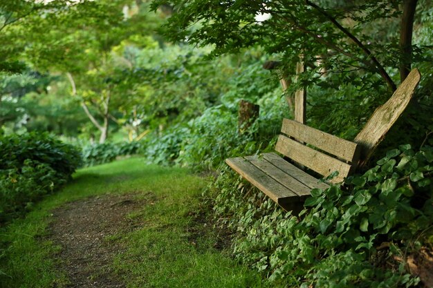 Foto leere bank im park