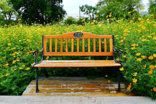 Foto leere bank im park