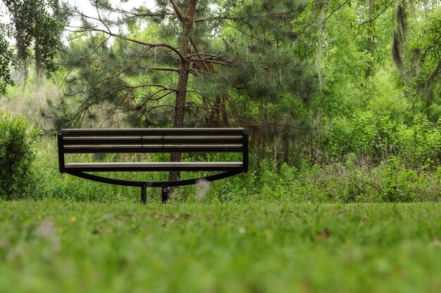 Foto leere bank im park