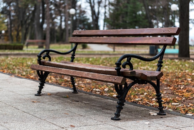 Foto leere bank im park