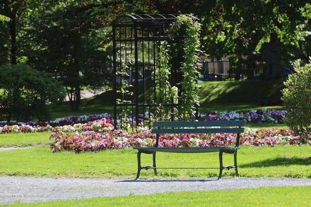 Foto leere bank im park