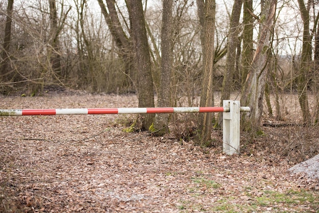 Foto leere bank im wald