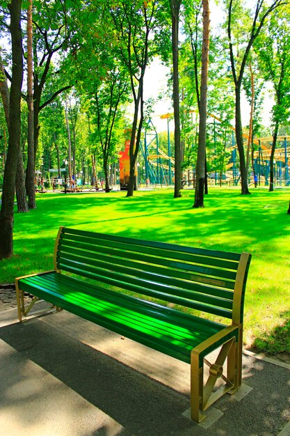 Foto leere bank in einem wunderschönen park mit vielen grünen bäumen. sommerpark mit platz zum ausruhen