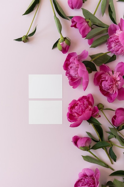 Leere Branding-Papierkarten mit Mockup-Kopierbereich Abstrakter floraler Hintergrund Bunte rosa Pfingstrose Blumen Hintergrund Blumen und Blütenblätter Zarte ästhetische künstlerische Botanik-Vorlage