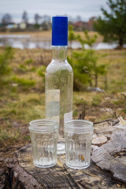 Leere Flasche und zwei Gläser im Wald