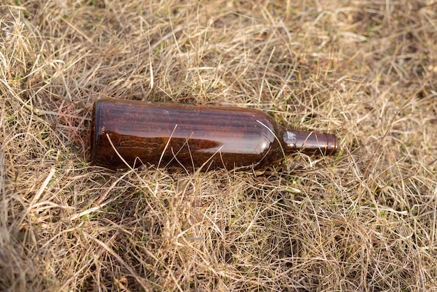 Leere Glasflasche auf Waldboden geworfen