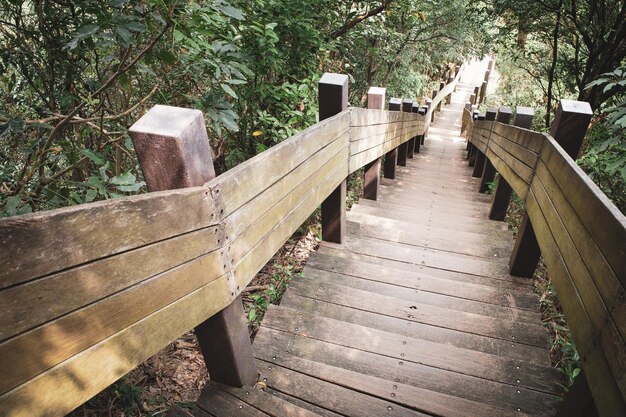 Foto leere hölzerne fußgängerbrücke im wald