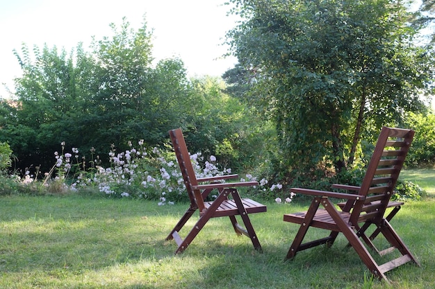 Leere hölzerne Stühle auf dem Gras im Hinterhof