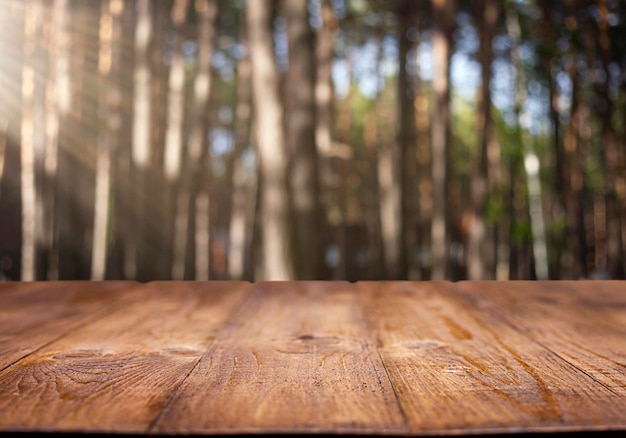 leere Holzstruktur auf dem Hintergrund von Baumstämmen in der Sonne