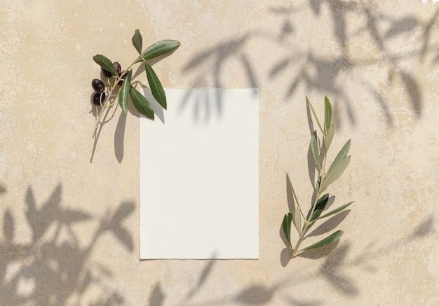 Leere Karte auf Betontisch mit Olivenbaumzweigen und harten Schatten Hochzeitsmockup