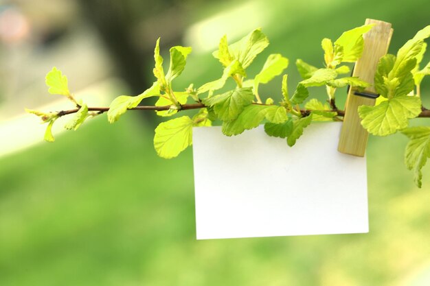 Leere Karte, die draußen am Baum hängt