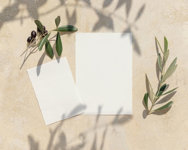 Leere Karten auf Betontisch mit Olivenbaumzweigen und harten Schatten Hochzeitsmockup