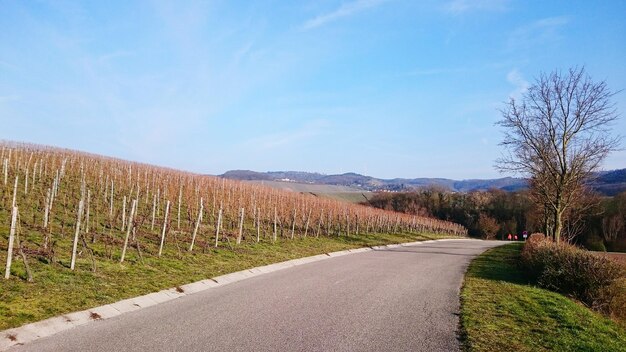 Foto leere landstraße entlang der landschaft