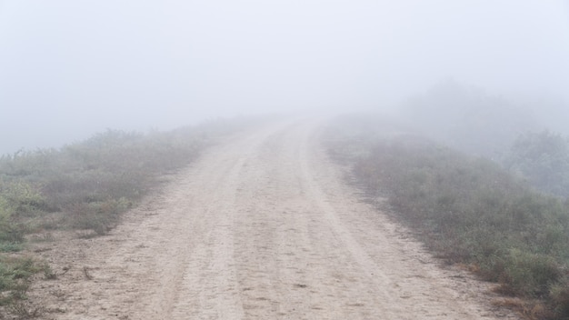 Leere Landstraße im Nebel