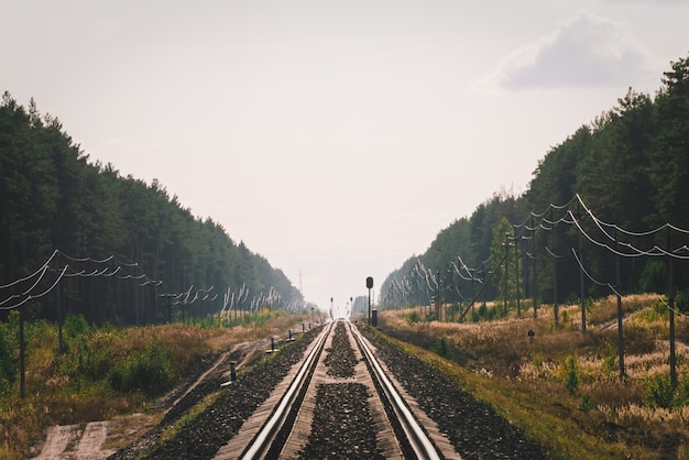 Leere lange Eisenbahn in der Perspektive. Mystisches Phänomen am Horizont auf der Schiene im Wald.