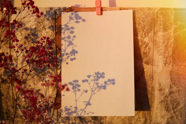Leere Mockup-Brief-Grußkarte für Geburtstagswunschliste Frühlingsmodell Trendige Schatten der Gypsophila-Blume Hochwertiges Foto