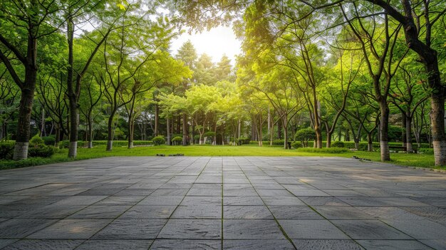 Leere quadratische Etage und grüne Wälder natürliche Landschaft im Stadtpark