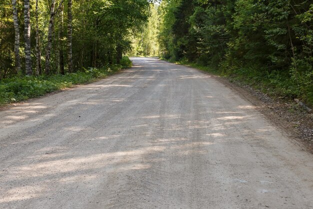 Foto leere schotterstraße durch den wald