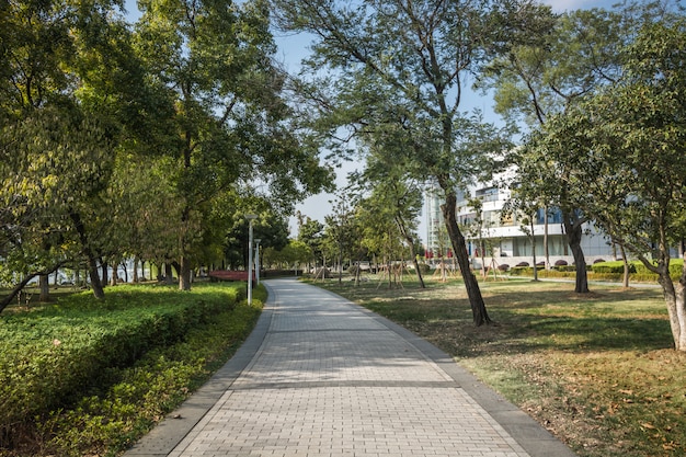 Leere Straße am netten und bequemen großen Garten unter reizendem blauem Himmel