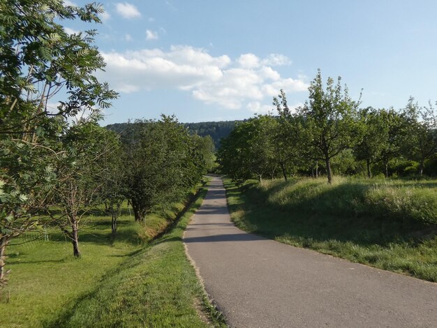 Leere Straße entlang der Bäume auf der Landschaft gegen den Himmel