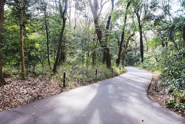 Foto leere straße entlang der bäume in der landschaft