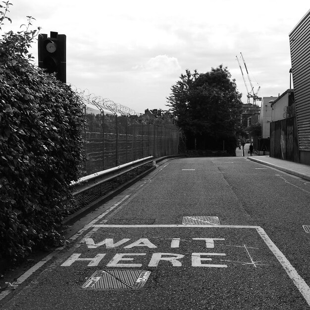 Foto leere straße entlang von bäumen und gebäuden