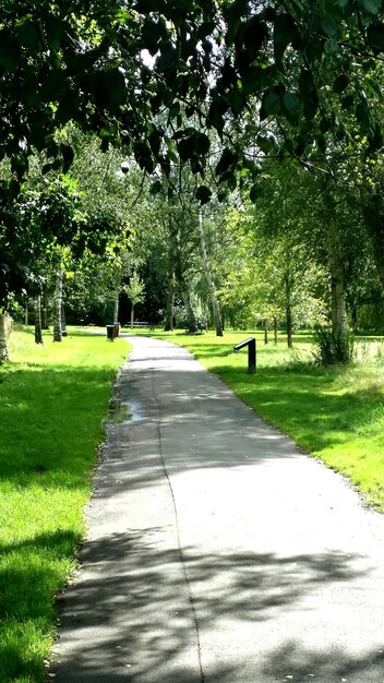 Foto leere straße im park