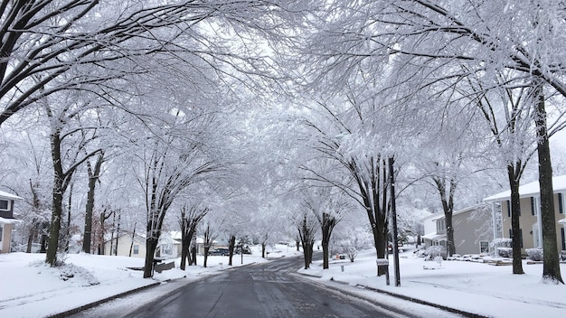 Leere Straße im Winter