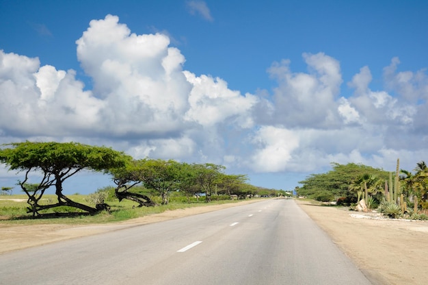 Leere Straße in der Nähe der Küste von Aruba mit einigen der endemischen Divi-Divi-Bäume neben der Straße