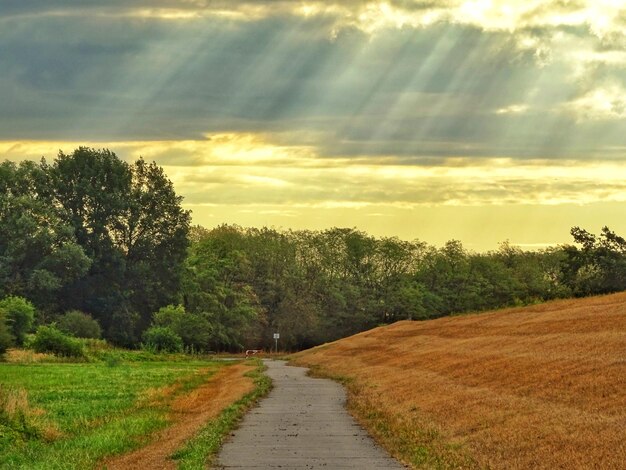 Foto leere straße in richtung bäume an land gegen bewölkten himmel bei sonnenuntergang