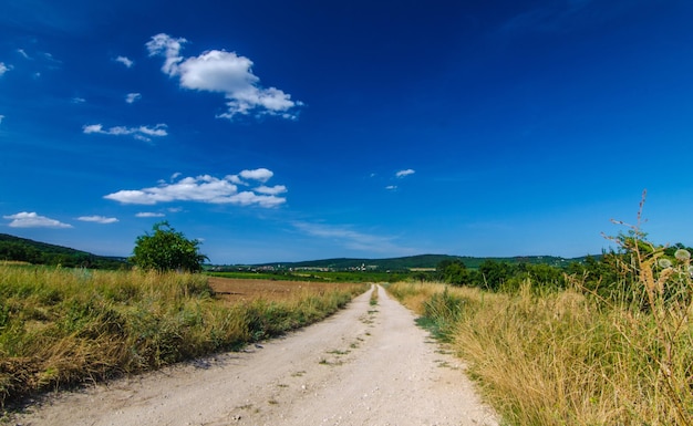 Leere Straße inmitten des Feldes gegen den blauen Himmel