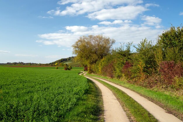 Leere Straße inmitten von Bäumen auf dem Feld gegen den Himmel