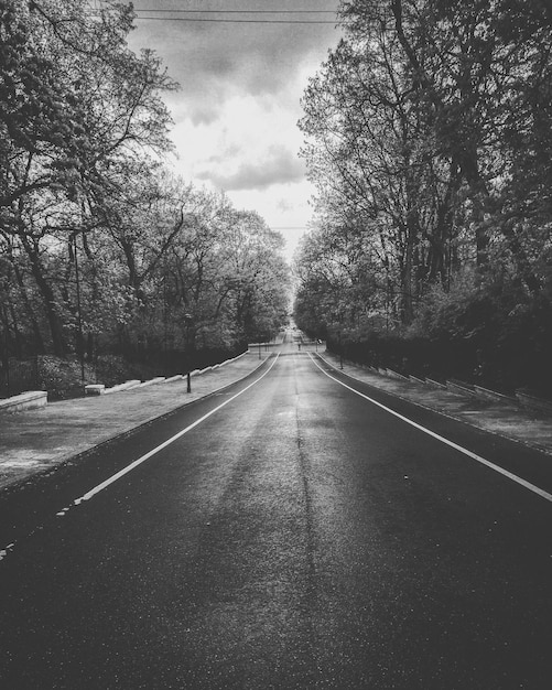 Foto leere straße inmitten von bäumen gegen wolkigen himmel