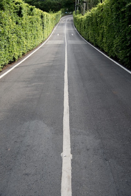 Foto leere straße inmitten von bäumen