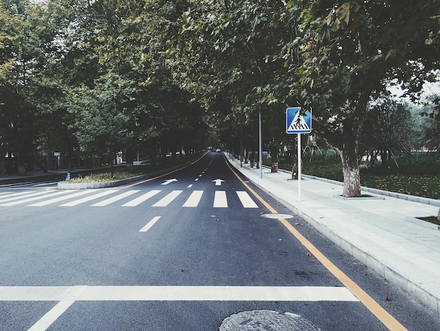 Leere Straße inmitten von Bäumen