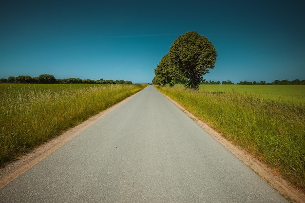 Leere Straße inmitten von grasbewachsenen Feldern gegen den blauen Himmel