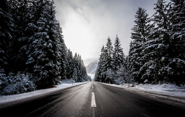 Leere Straße inmitten von schneebedeckten Bäumen gegen den Himmel