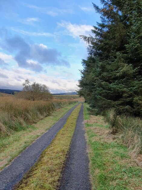 Leere Straße mitten auf dem Feld gegen den Himmel