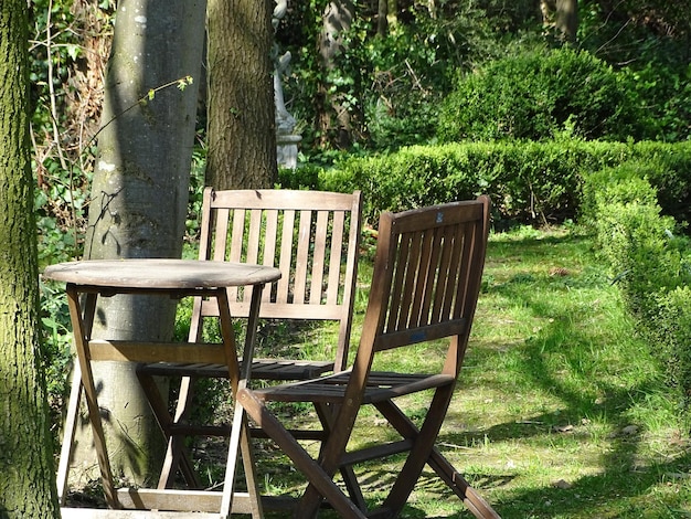 Leere Stühle und Bäume im Park