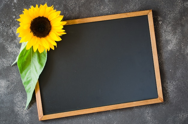 Leere Tafel auf dunklem Stein mit Sonnenblume