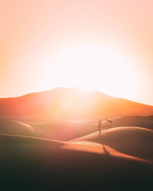 Leere Viertel der Wüstendünen bei Liwa Abu Dhabi