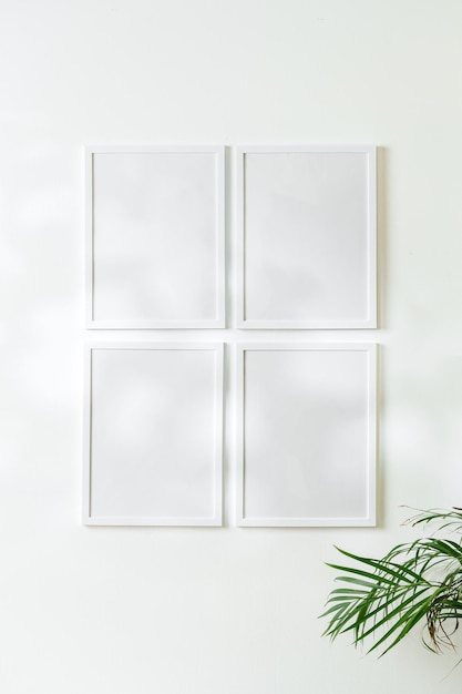 Leere weiße Rahmen und Zimmerpflanze vor weißer Wand