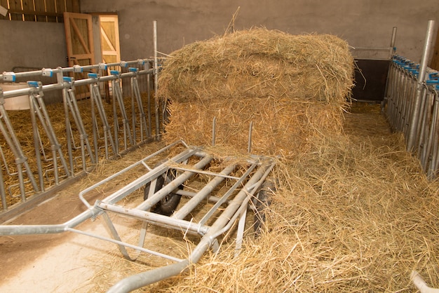 Leerer Bauernhofstall ohne Ziege - kein Tier