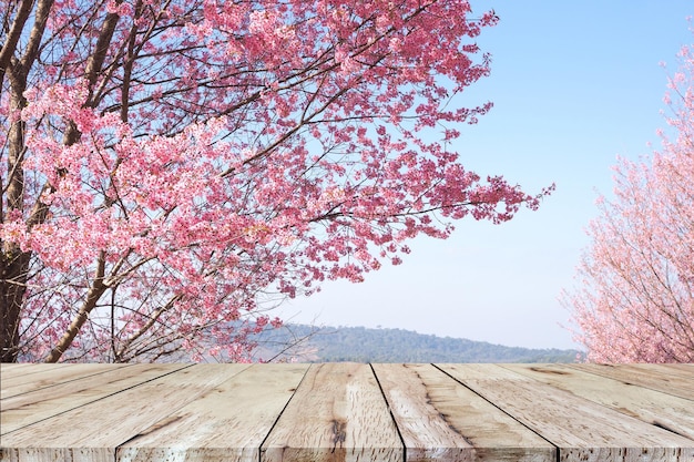 Leerer brauner Holztisch für Ausstellungsprodukte und schöne rosa Sakura-Blume mit blauem Himmelshintergrund.