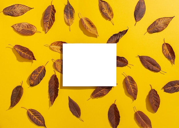 Leerer erhöhter rechteckiger Rahmen und Herbstlaub auf gelbem Hintergrund