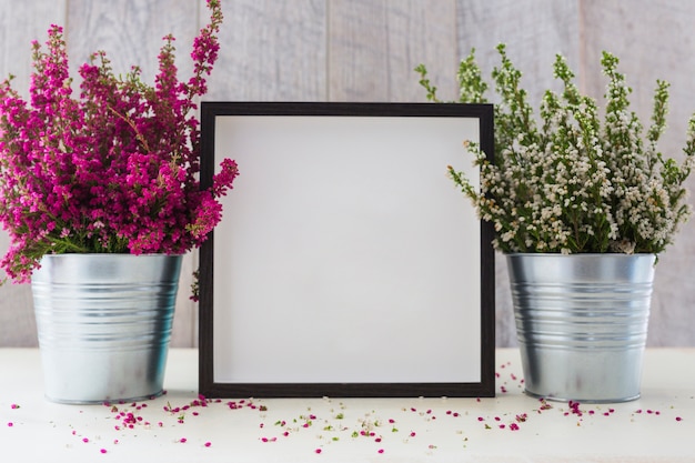 Leerer Fotorahmen zwischen den zwei Aluminiumtopf mit kleinen Blumen auf Schreibtisch