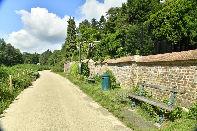 Foto leerer fußweg bei bäumen gegen den himmel