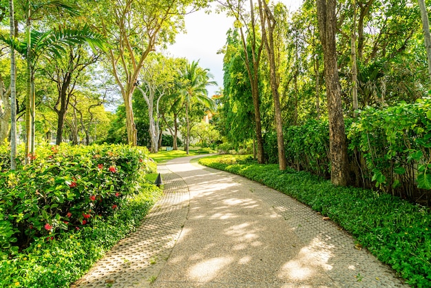 leerer Gehweg mit Baum im Garten