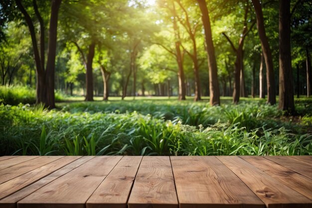 Leerer Holztisch im Freien, grüner Park, Natur, Hintergrund, Vorlage für die Produktdarstellung